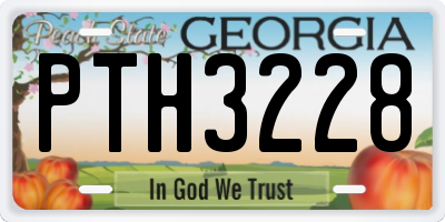 GA license plate PTH3228