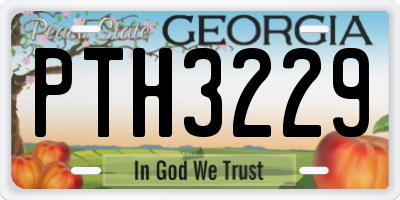 GA license plate PTH3229