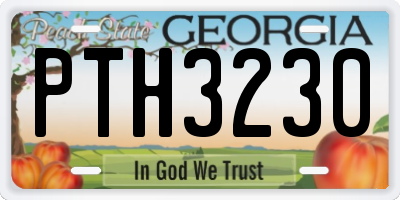 GA license plate PTH3230