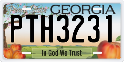 GA license plate PTH3231