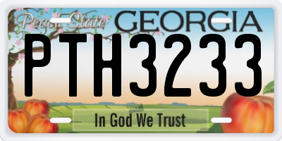 GA license plate PTH3233