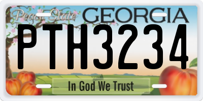 GA license plate PTH3234