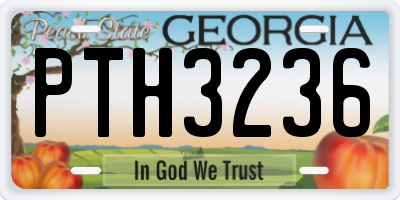 GA license plate PTH3236