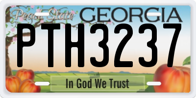 GA license plate PTH3237