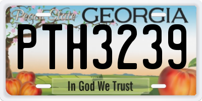 GA license plate PTH3239
