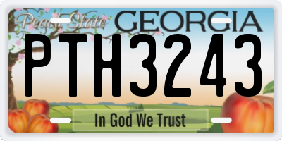 GA license plate PTH3243