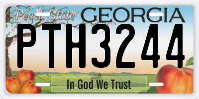 GA license plate PTH3244