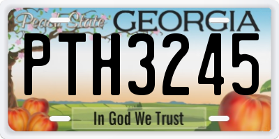 GA license plate PTH3245