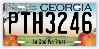 GA license plate PTH3246