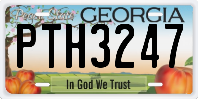 GA license plate PTH3247