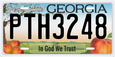 GA license plate PTH3248