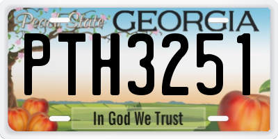 GA license plate PTH3251