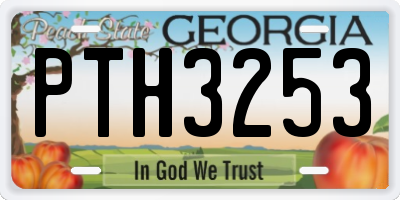 GA license plate PTH3253