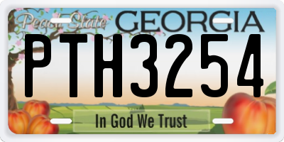 GA license plate PTH3254
