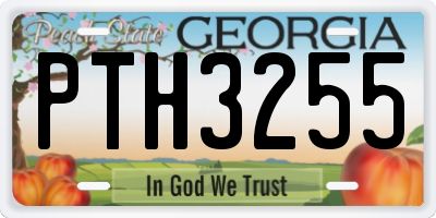 GA license plate PTH3255