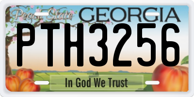 GA license plate PTH3256