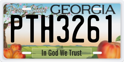 GA license plate PTH3261