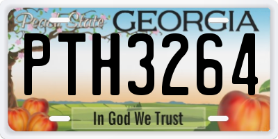GA license plate PTH3264