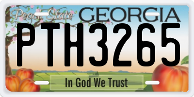 GA license plate PTH3265