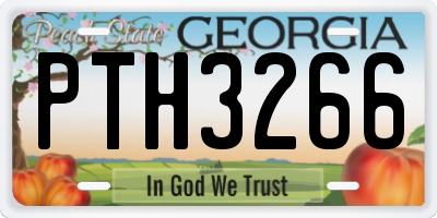 GA license plate PTH3266