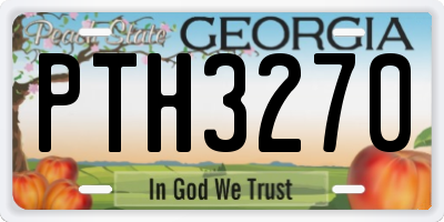 GA license plate PTH3270