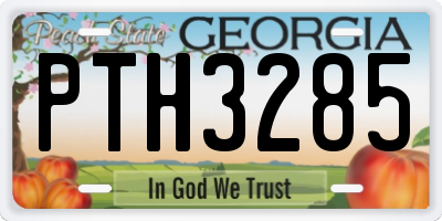 GA license plate PTH3285