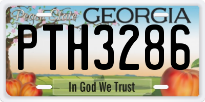 GA license plate PTH3286