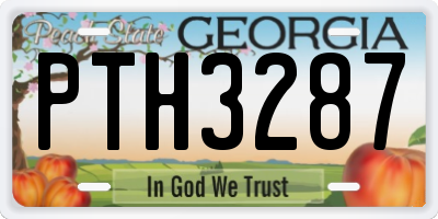 GA license plate PTH3287