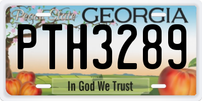 GA license plate PTH3289
