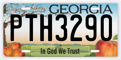 GA license plate PTH3290