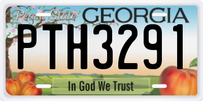 GA license plate PTH3291
