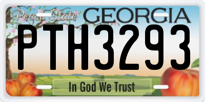 GA license plate PTH3293