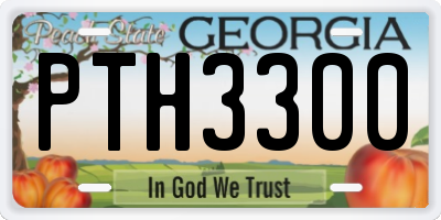 GA license plate PTH3300
