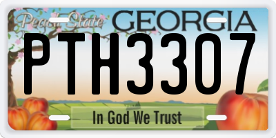 GA license plate PTH3307