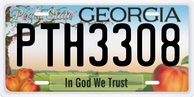 GA license plate PTH3308