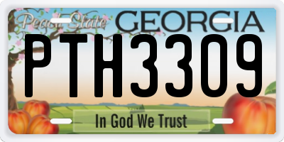 GA license plate PTH3309