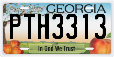 GA license plate PTH3313