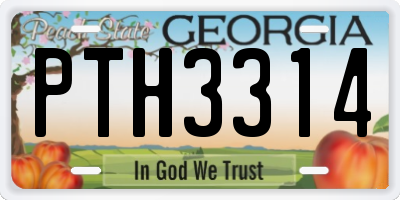 GA license plate PTH3314