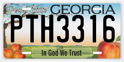GA license plate PTH3316