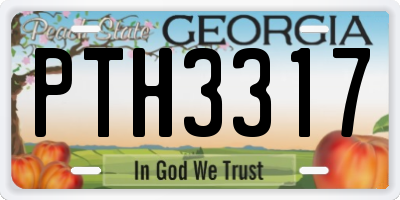GA license plate PTH3317