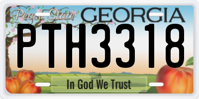 GA license plate PTH3318