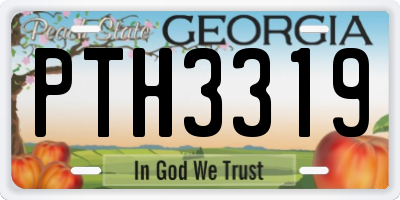 GA license plate PTH3319