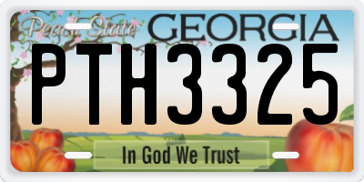 GA license plate PTH3325
