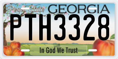 GA license plate PTH3328