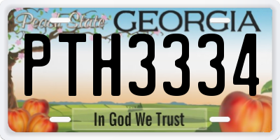 GA license plate PTH3334