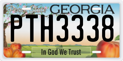 GA license plate PTH3338