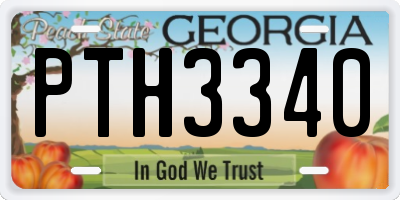 GA license plate PTH3340