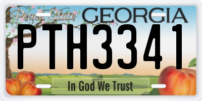 GA license plate PTH3341
