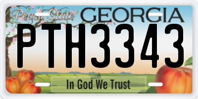 GA license plate PTH3343