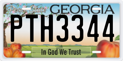 GA license plate PTH3344